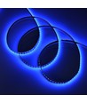 5m 10W/m UV 400 nm LED-strip - 24V DC, IP20, 120 LED