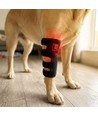 Lichttherapie gamache voor honden - voor poten & gewrichten, rood/infrarood, accu