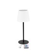 Oplaadbare RGBW LED tafellamp met zonnecel - Wit, afstandsbediening