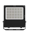 300W LED-schijnwerper met instelbaar wattage - Asymmetrisch, IP66 buiten, IK08, zwart