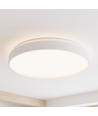 RGBIC+CCT plafondlamp - Ø48cm, 33W, incl. afstandsbediening