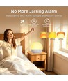 Wake-up Light wekker, zonsopgang-effect - Bluetooth 5.3 speaker, slaapgeluiden, dimbaar