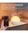 Wake-up Light wekker, zonsopgang-effect - Bluetooth 5.3 speaker, slaapgeluiden, dimbaar