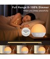 Wake-up Light wekker, zonsopgang-effect - Bluetooth 5.3 speaker, slaapgeluiden, dimbaar