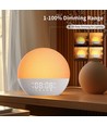 Wake-up Light wekker, zonsopgang-effect - Bluetooth 5.3 speaker, slaapgeluiden, dimbaar