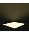60x60 LED paneel 36W - UGR19, incl. Philips driver, witte rand
