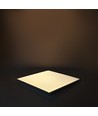 60x60 LED paneel 36W (achterbelicht) - UGR19, incl. Philips driver, witte rand