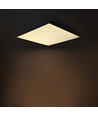 60x60 LED paneel 36W (achterbelicht) - UGR19, incl. Philips driver, witte rand