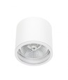 Plafondlamp voor AR111 GU10 - Wit, IP65 buiten, Ø12cm, 11,5cm hoog, aluminium, zonder lichtbron