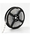5m 13W/m RGB Dotless COB-LED strip - 24V DC, IP67, 576 LED's per meter