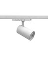 25-30W 3-fase CCT Triac railspot - RA98, instelbare CCT & watt, Wit