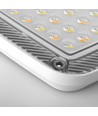 30W LED-breedstraler CCT - IP65, 3-in-1 lichtkleur, buiten, werklamp