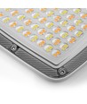 50W LED-breedstraler CCT - IP65, 3 lichtkleuren, buiten