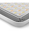 50W LED-breedstraler CCT - IP65, 3 lichtkleuren, buiten