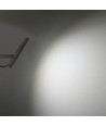 50W LED-breedstraler CCT - IP65, 3 lichtkleuren, buiten