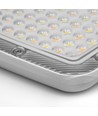 100W LED-breedstraler CCT - IP65, buiten, werklamp