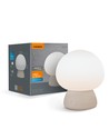Oplaadbare Mushroom LED Tafellamp - RGB + 3000K Warm Wit, Draagbaar