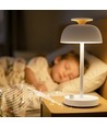 Oplaadbare LED bureaulamp met white noise - RGB+W, neutraal wit, draagbaar