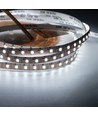 10m 9W/m CCT LED strip RA95 - 24V DC, 400 LED p/m, 8mm breed, 2m kabel