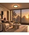 AURA plafondlamp met afstandsbediening - Rookglas rand, dimbaar, Ø40cm, 24W, 3 lichtkleuren