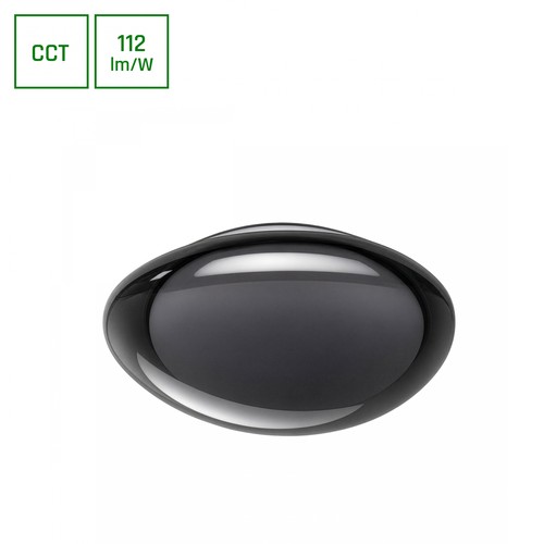 AURA plafondlamp met afstandsbediening - Grafiet, dimbaar, Ø40cm, 24W, 3 lichtkleuren