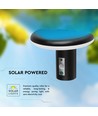 2W LED solcelle tuinlamp met sensor - IP54, 3000K, zwart