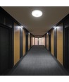 12W LED sensorlamp - Rond, wit, PIR sensor, Cree chip, 3-in-1 CCT