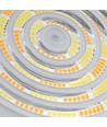 150W LED high bay - CCT, wit