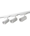 3-Fase ZoomCCT railsysteem - 1m, Wit, 3 spots, incl. lichtbron