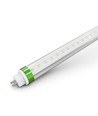 150cm / 25W T5-FOCUS150 LED-buis - 175lm/W, smalle stralingshoek, 60 graden stralingshoek