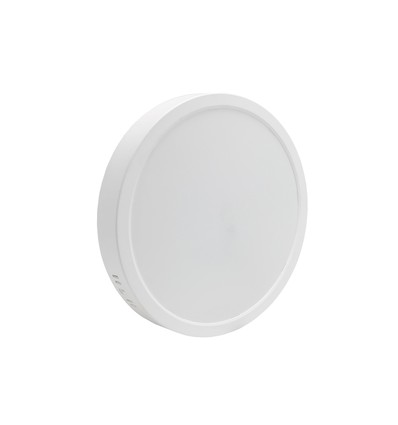24W LED plafondlamp - Ø29cm, hoogte: 3,8cm, witte rand