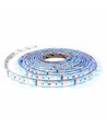 RGB+WW set: 5m LED-strip, 60 LED, 10,8w, controller en transformator