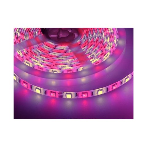 5m 10,8W/m RGB+WW LED-strip - 60 LED's per meter