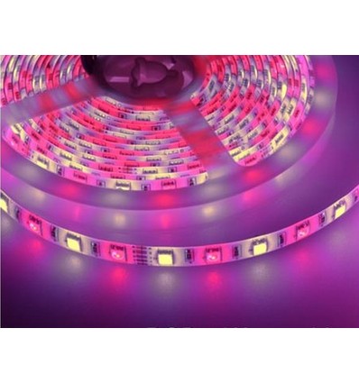 5m 10,8W/m RGB+WW LED-strip - 60 LED's per meter