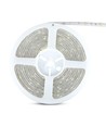 5m 4,8W/m spatwaterdichte LED strip - IP65, 30 LED