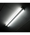 60cm T8 LED-armatuur - Voor 2x 60cm LED-buizen, IP20 binnenshuis