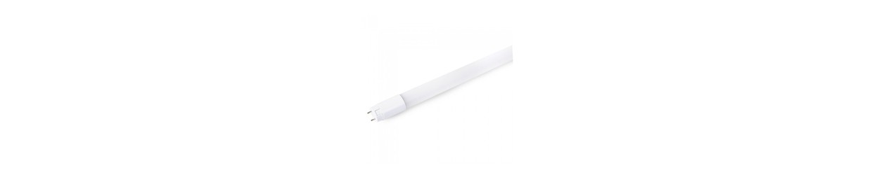 60 cm - T8 LED Buizen