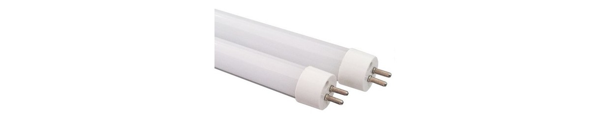 T5 LED Buizen