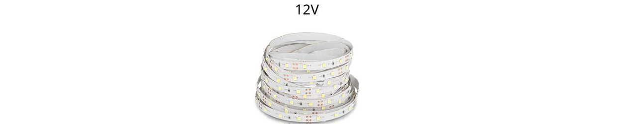 Enkelkleurige LED Strips 12V